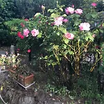 Bed & Breakfast Manu D'hote