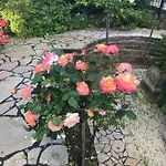 Bed & Breakfast Manu D'hote 4*