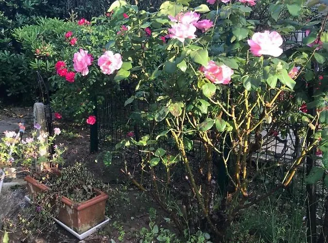 Bed & Breakfast Manu D'hote