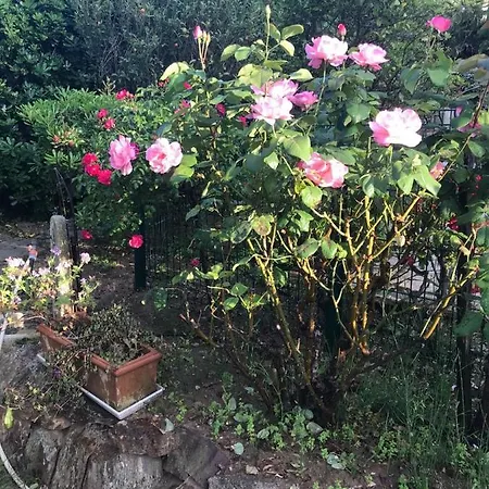 فندق مبيت وإفطار Manu D'hote