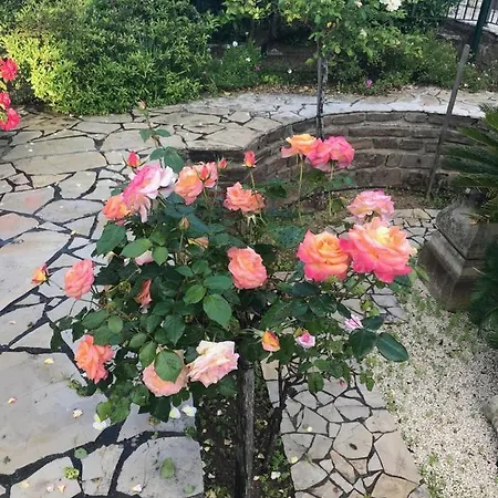 Bed & Breakfast Manu D'hote 4*