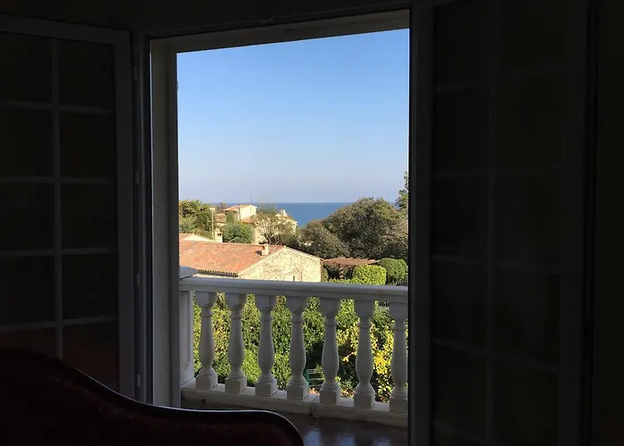 Manu D'hote